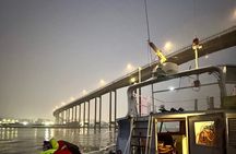 Tromso Sea Safari Tour