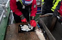 Tromso Sea Safari Tour