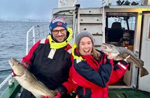 Tromso Sea Safari Tour