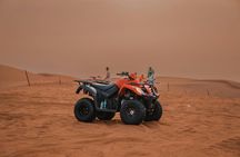 Desert Safari Adventures: Dune Bashing, Camel Rides, and BBQ,