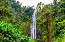 Materuni Waterfall, Chemka Hot Spring and Traditional Coffee Tour