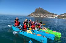 Two Hours Kayaking in Hout Bay