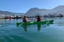 Two Hours Kayaking in Hout Bay