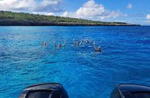 Private and Luxury 2 Stop Snorkel in Bonaire National Marine Park