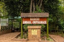 Safari Walk And Animal Orphanage in Nairobi National Park