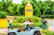 Island Buggy Excursions