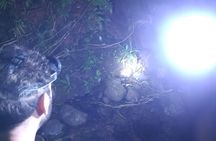 Deep Jungle Night Hike in a Private Nature Reserve