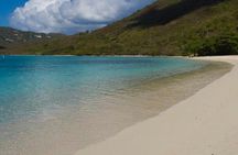 Island Buggy Excursions