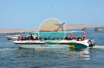 1 day tour to Ballestas Islands and Paracas National Reserve