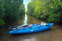 Full day Mangrove kayak + Jazani forest + kuza cave + Paje beach