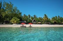 Full Day Bora Experience - Snorkeling Excursion & 4x4 Adventure