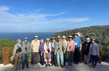 Walking Tangier Tour from ancient Kasba to Bustling Souks
