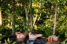 Rotorua Highlights Tour: Waiotapu, Lunch & Add-On from Auckland