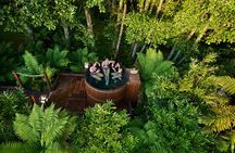 Rotorua Highlights Tour: Waiotapu, Lunch & Add-On from Auckland