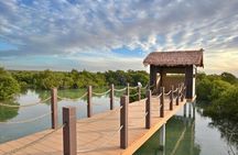 Doha Private North Tour Zubara Fort Purple Island & Mangrove