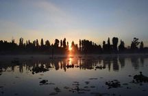 Xochimilco in Kayak