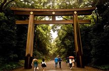 Tokyo Private Tour by Van with English Guide and Photography