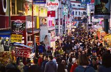 Tokyo Private Tour by Van with English Guide and Photography