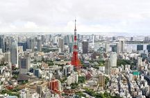 Tokyo Private Tour by Van with English Guide and Photography