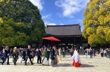 Tokyo Private Tour by Van with English Guide and Photography