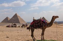 Day Tour Giza Pyramids Memphis city Dahshur and Saqqara Pyramids