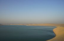 Private Half Day Desert Safari