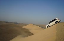 Private Half Day Desert Safari