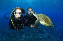 Scuba Diving for Beginners With Lunch in Hurghada