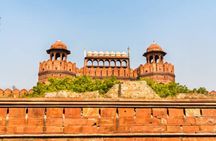 Old and New Delhi Private Day Tour with Options