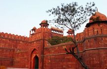 Old and New Delhi Private Day Tour with Options
