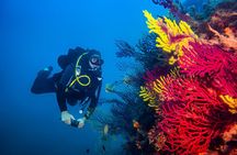 Scuba Diving for Beginners With Lunch in Hurghada
