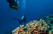 Intro Scuba Diving for Beginners in Sharm El-Sheikh