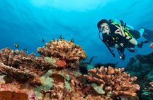 Intro Scuba Diving for Beginners in Sharm El-Sheikh