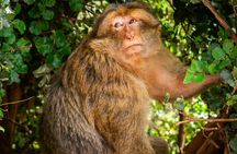 Ouzoud Waterfalls Day Trip - Cascade Ouzoud - Ouzoud Falls