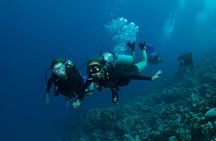 Intro Scuba Diving for Beginners With Lunch in Marsa Alam