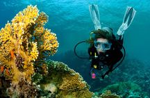 Intro Scuba Diving for Beginners With Lunch in Marsa Alam