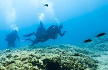 Intro Scuba Diving for Beginners With Lunch in Marsa Alam