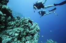 Intro Scuba Diving for Beginners With Lunch in Marsa Alam