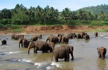 Sri Lanka Private Tour with Driver – Flexible Dates & Itinerary