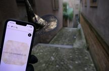 Escape Game Magic Team in Montélimar