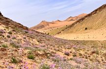 6 Day Silence and Stars in the Unexplored Sahara Private Tour