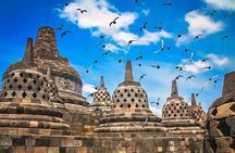 Borobudur Climb Up and Selogriyo Temple Rice Terraces Trekking 