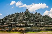 Borobudur Climb Up and Selogriyo Temple Rice Terraces Trekking 