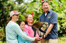 Grenada Highlights: City Tour, Fort, Chocolate, Rainforest- Falls