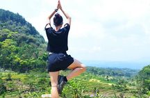 Borobudur Climb Up and Selogriyo Temple Rice Terraces Trekking 