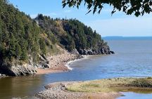 Saint John (NB) Bay of Fundy and Hopewell Rocks Private Tour