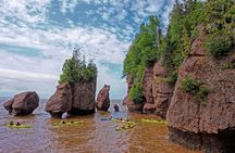 Saint John (NB) Bay of Fundy and Hopewell Rocks Private Tour