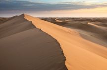 Doha Desert Quad Bike adventure with group, and Sand dune Driving