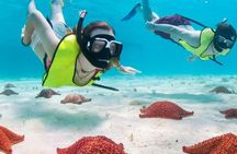 Tour around the island of Cozumel in fun buggies