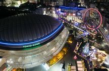 Private Tour in Tokyo 5 Cities and 10 Points Day or Night 